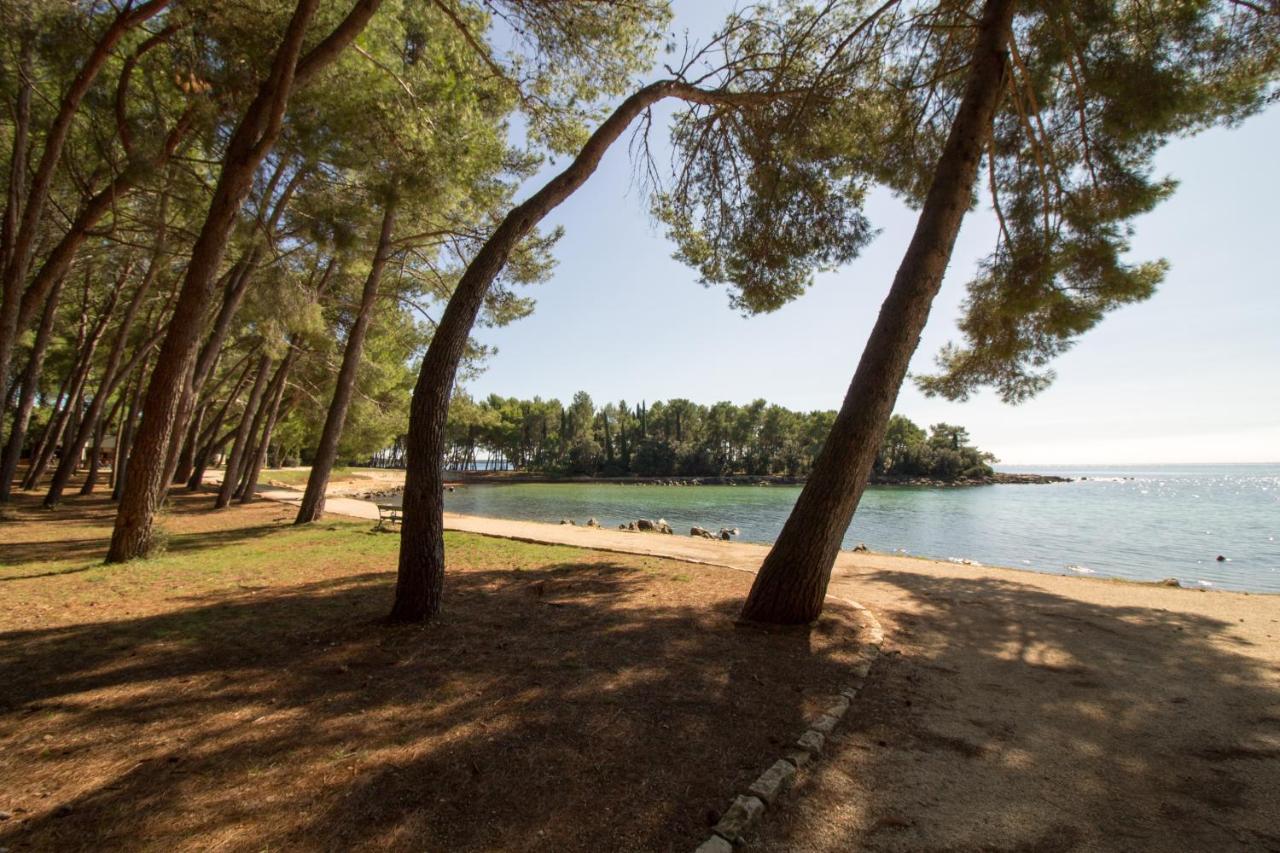 Apartments Sosic Ρόβινι Εξωτερικό φωτογραφία