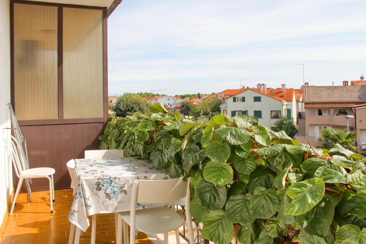 Apartments Sosic Ρόβινι Εξωτερικό φωτογραφία